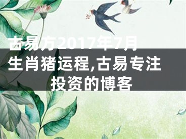 古易方2017年7月生肖猪运程,古易专注投资的博客