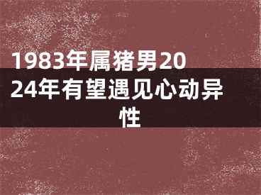 1983年属猪男2024年有望遇见心动异性