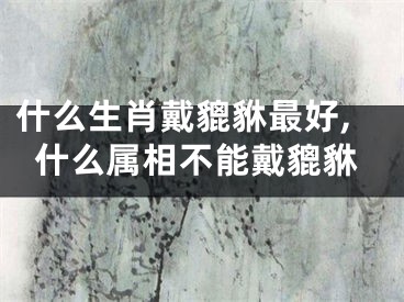 什么生肖戴貔貅最好,什么属相不能戴貔貅