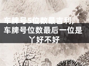 车牌号5位数最吉利,车牌号位数最后一位是丫好不好