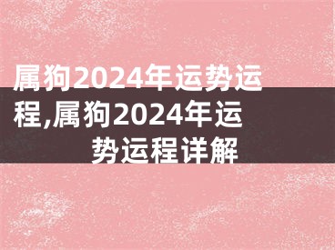 属狗2024年运势运程,属狗2024年运势运程详解