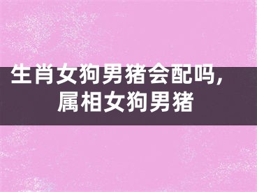 生肖女狗男猪会配吗,属相女狗男猪