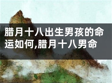 腊月十八出生男孩的命运如何,腊月十八男命