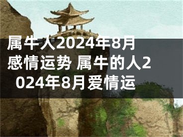 属牛人2024年8月感情运势 属牛的人2024年8月爱情运