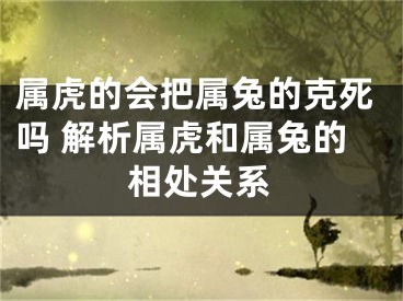 属虎的会把属兔的克死吗 解析属虎和属兔的相处关系