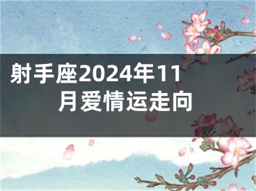射手座2024年11月爱情运走向