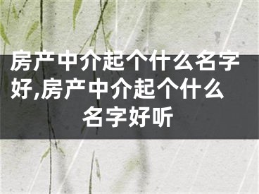 房产中介起个什么名字好,房产中介起个什么名字好听