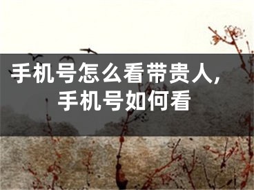 手机号怎么看带贵人,手机号如何看
