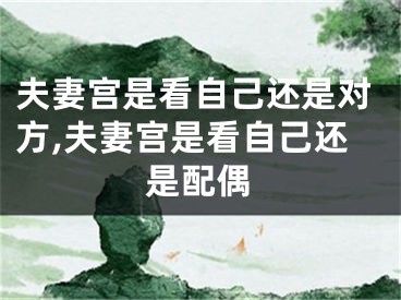 夫妻宫是看自己还是对方,夫妻宫是看自己还是配偶