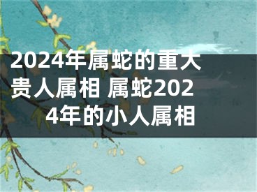 2024年属蛇的重大贵人属相 属蛇2024年的小人属相