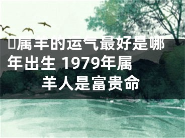 ​属羊的运气最好是哪年出生 1979年属羊人是富贵命