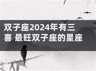 双子座2024年有三喜 最旺双子座的星座