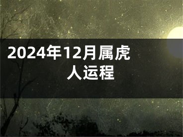 2024年12月属虎人运程