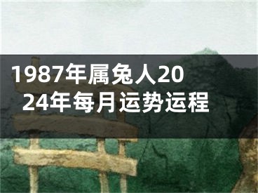 1987年属兔人2024年每月运势运程