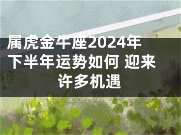 属虎金牛座2024年下半年运势如何 迎来许多机遇
