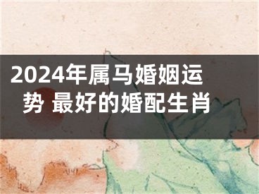 2024年属马婚姻运势 最好的婚配生肖