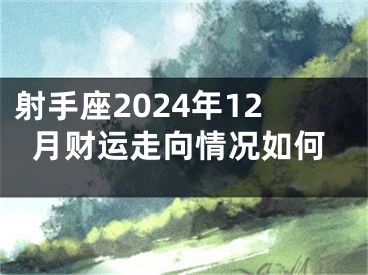 射手座2024年12月财运走向情况如何