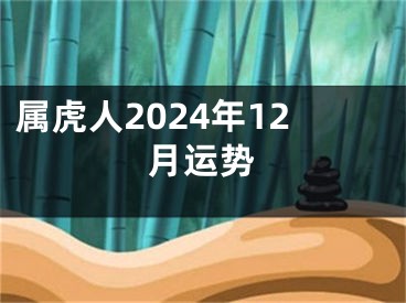 属虎人2024年12月运势