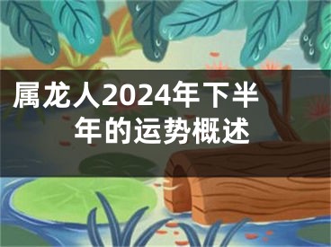 属龙人2024年下半年的运势概述
