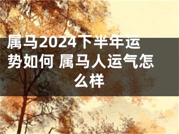 属马2024下半年运势如何 属马人运气怎么样