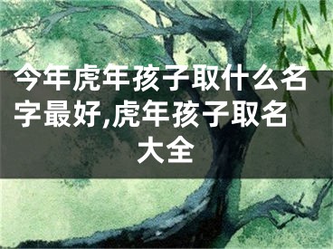 今年虎年孩子取什么名字最好,虎年孩子取名大全