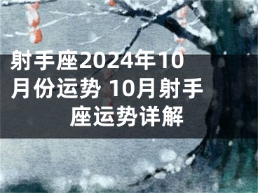 射手座2024年10月份运势 10月射手座运势详解