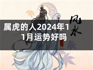属虎的人2024年11月运势好吗