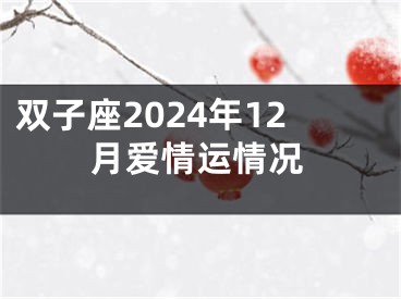 双子座2024年12月爱情运情况