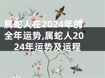 属蛇人在2024年的全年运势,属蛇人2024年运势及运程