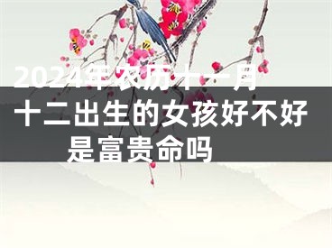 2024年农历十一月十二出生的女孩好不好 是富贵命吗 