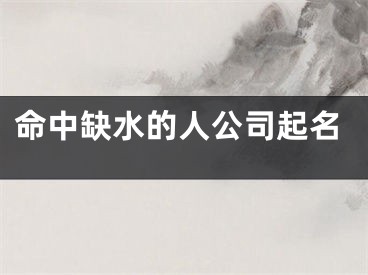 命中缺水的人公司起名