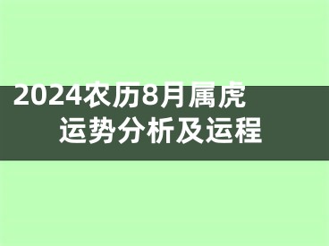 2024农历8月属虎运势分析及运程