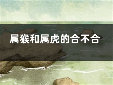 属猴和属虎的合不合