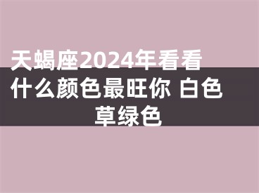 天蝎座2024年看看什么颜色最旺你 白色草绿色