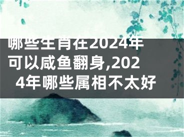 哪些生肖在2024年可以咸鱼翻身,2024年哪些属相不太好