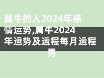 属牛的人2024年感情运势,属牛2024年运势及运程每月运程男