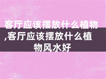客厅应该摆放什么植物,客厅应该摆放什么植物风水好