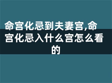 命宫化忌到夫妻宫,命宫化忌入什么宫怎么看的