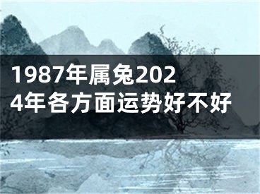 1987年属兔2024年各方面运势好不好