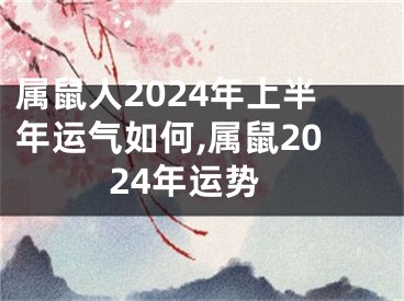 属鼠人2024年上半年运气如何,属鼠2024年运势