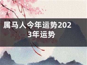 属马人今年运势2023年运势