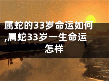 属蛇的33岁命运如何,属蛇33岁一生命运怎样