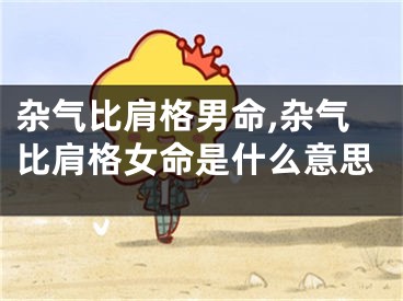 杂气比肩格男命,杂气比肩格女命是什么意思