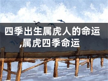 四季出生属虎人的命运,属虎四季命运