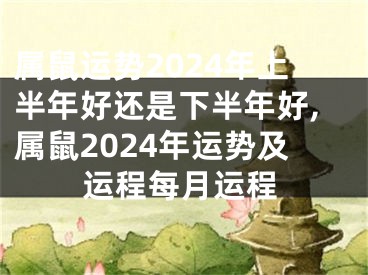 属鼠运势2024年上半年好还是下半年好,属鼠2024年运势及运程每月运程