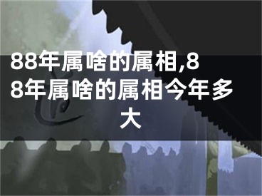 88年属啥的属相,88年属啥的属相今年多大