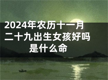 2024年农历十一月二十九出生女孩好吗 是什么命 