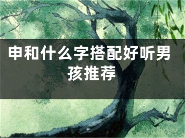 申和什么字搭配好听男孩推荐