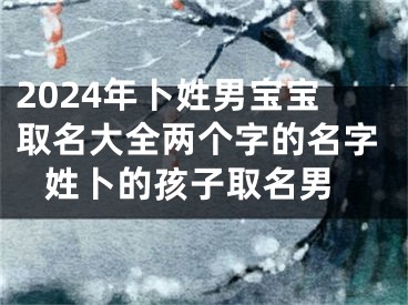 2024年卜姓男宝宝取名大全两个字的名字 姓卜的孩子取名男