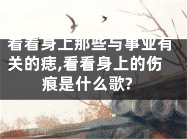 看看身上那些与事业有关的痣,看看身上的伤痕是什么歌?